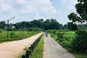 Weediyawatte Walking Path(VIKUM UYANA) image