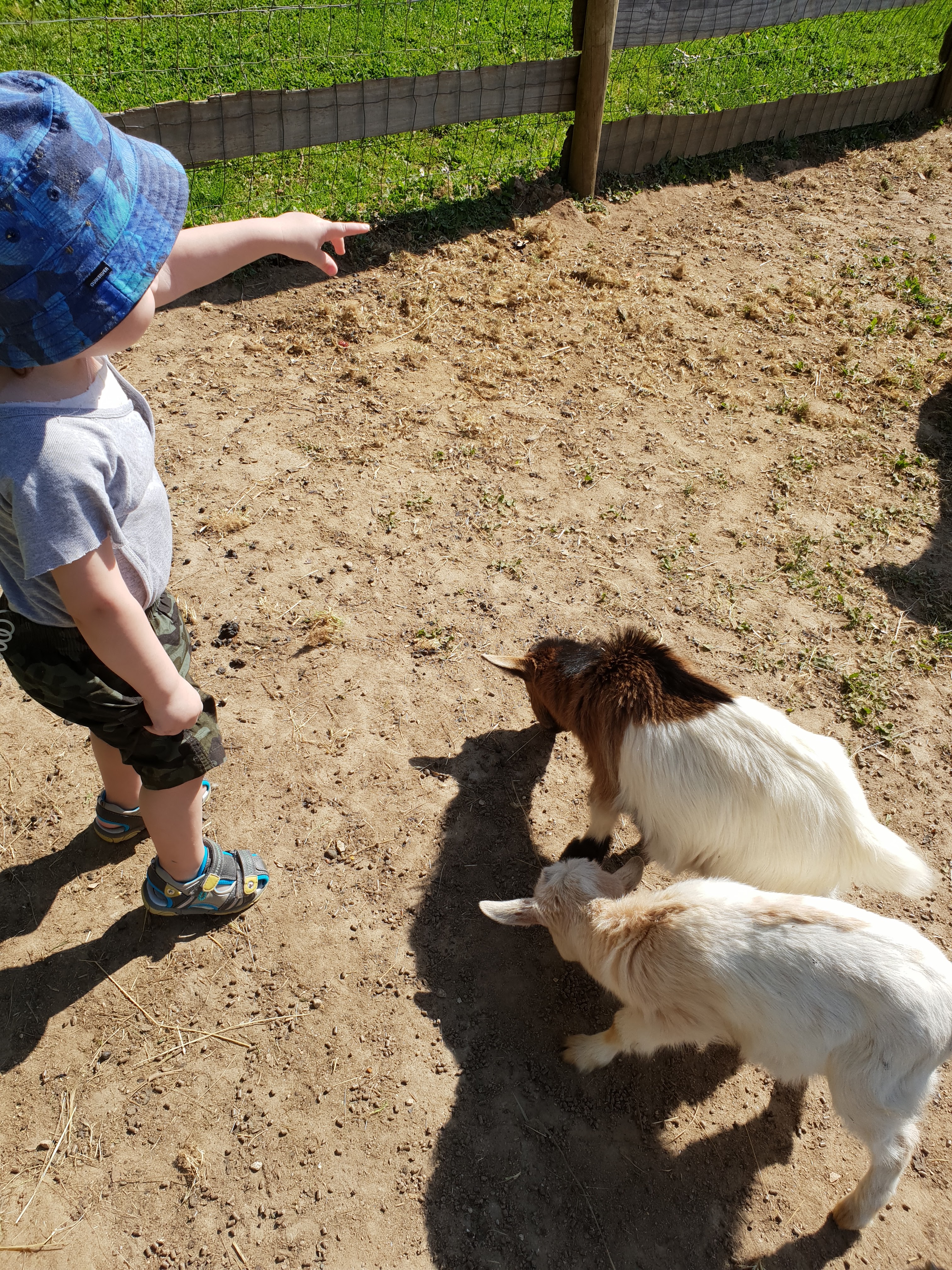 Photo n° 1 de l'avis de Émilie.o fait le 20/04/2018 à 11:12