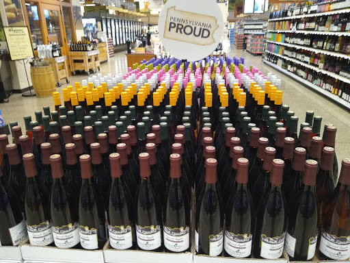 Shopping Mall «Brandywine Square Shopping Center», reviews and photos, Quarry Rd & U.S. 30, Downingtown, PA 19335, USA