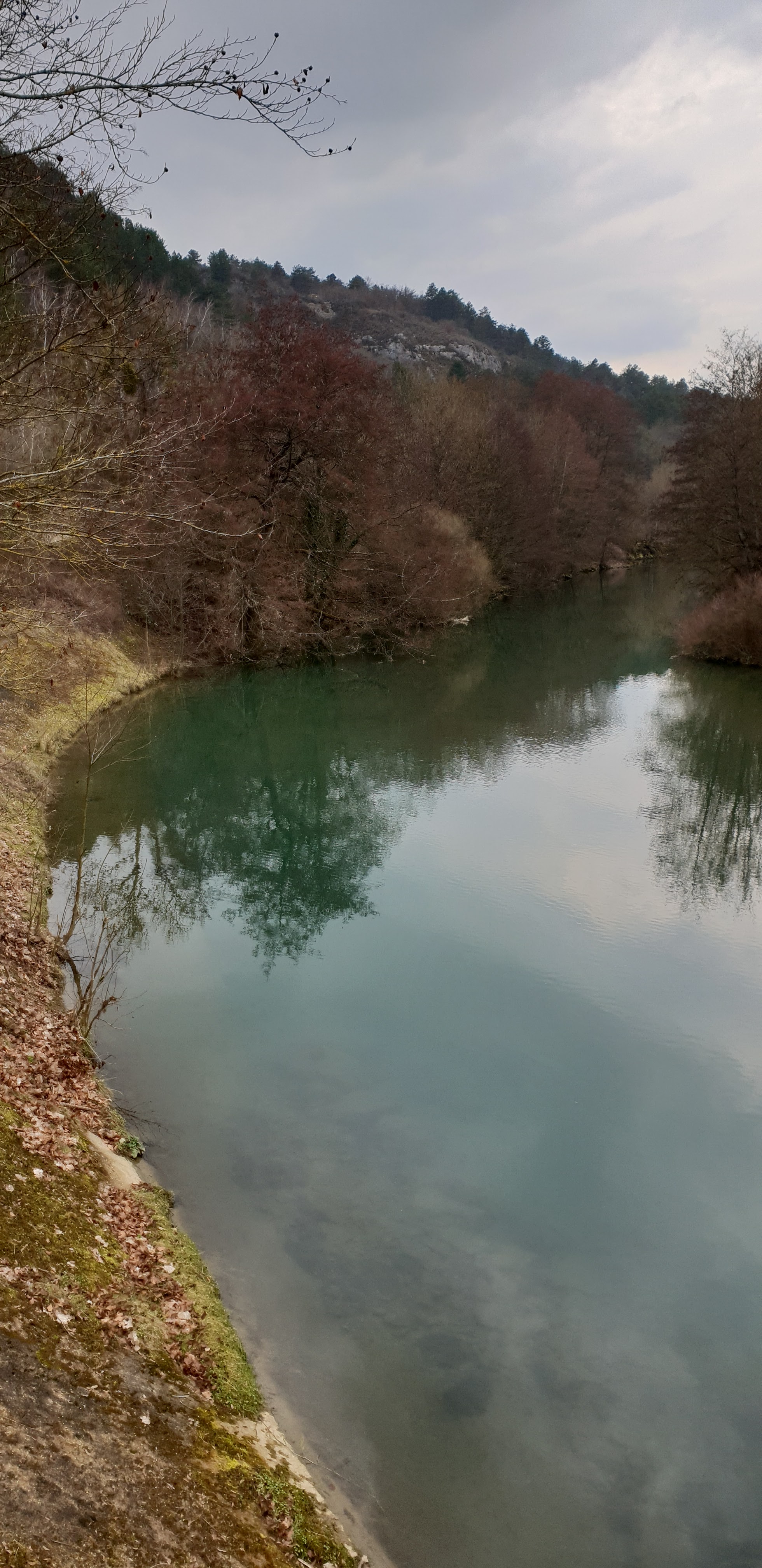 Photo n° 2 de l'avis de Rosa.o fait le 19/03/2019 à 22:34