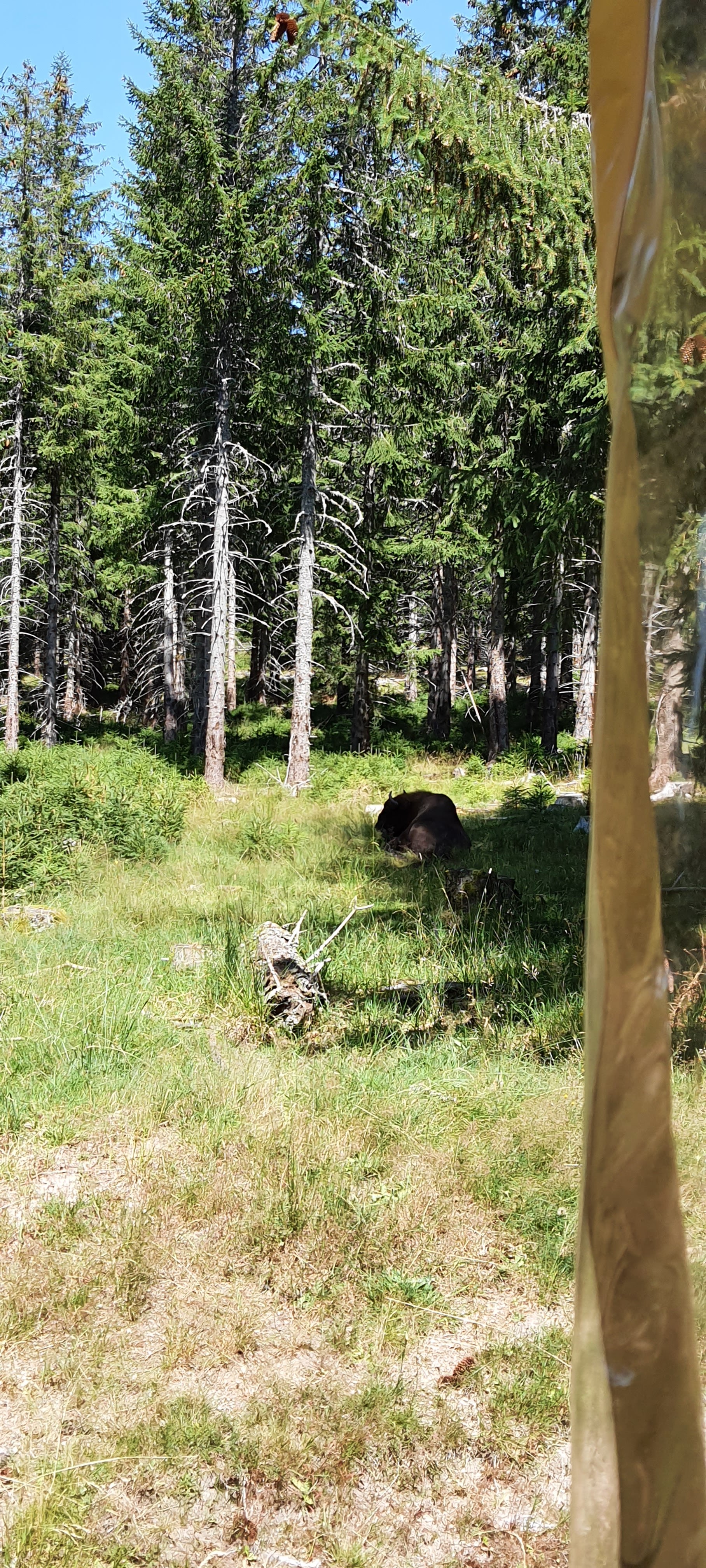 Photo n° 8 de l'avis de Benjamin.o fait le 22/08/2021 à 17:09