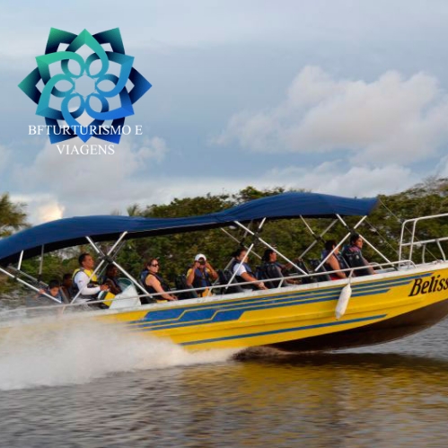 Logo da empresa - Bfturturismo e Viagens