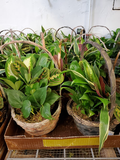 Florist «Sieck-Wright Floral Products», reviews and photos, 231 Monmouth St, Hightstown, NJ 08520, USA