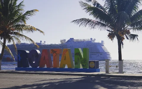 Real Deal Roatan Tours image