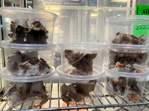 Pet Store «All Pets Club», reviews and photos, 1167 N Colony Rd, Wallingford, CT 06492, USA