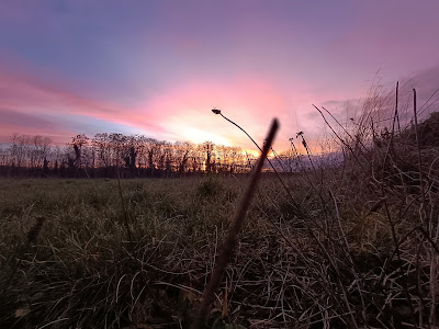 Rap'tout à Chaudeney-sur-Moselle