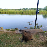 Photo n°1 de l'avis de Melanie.l fait le 18/06/2022 à 22:12 sur le  Gaststätte Saale-Perle à Weißenfels