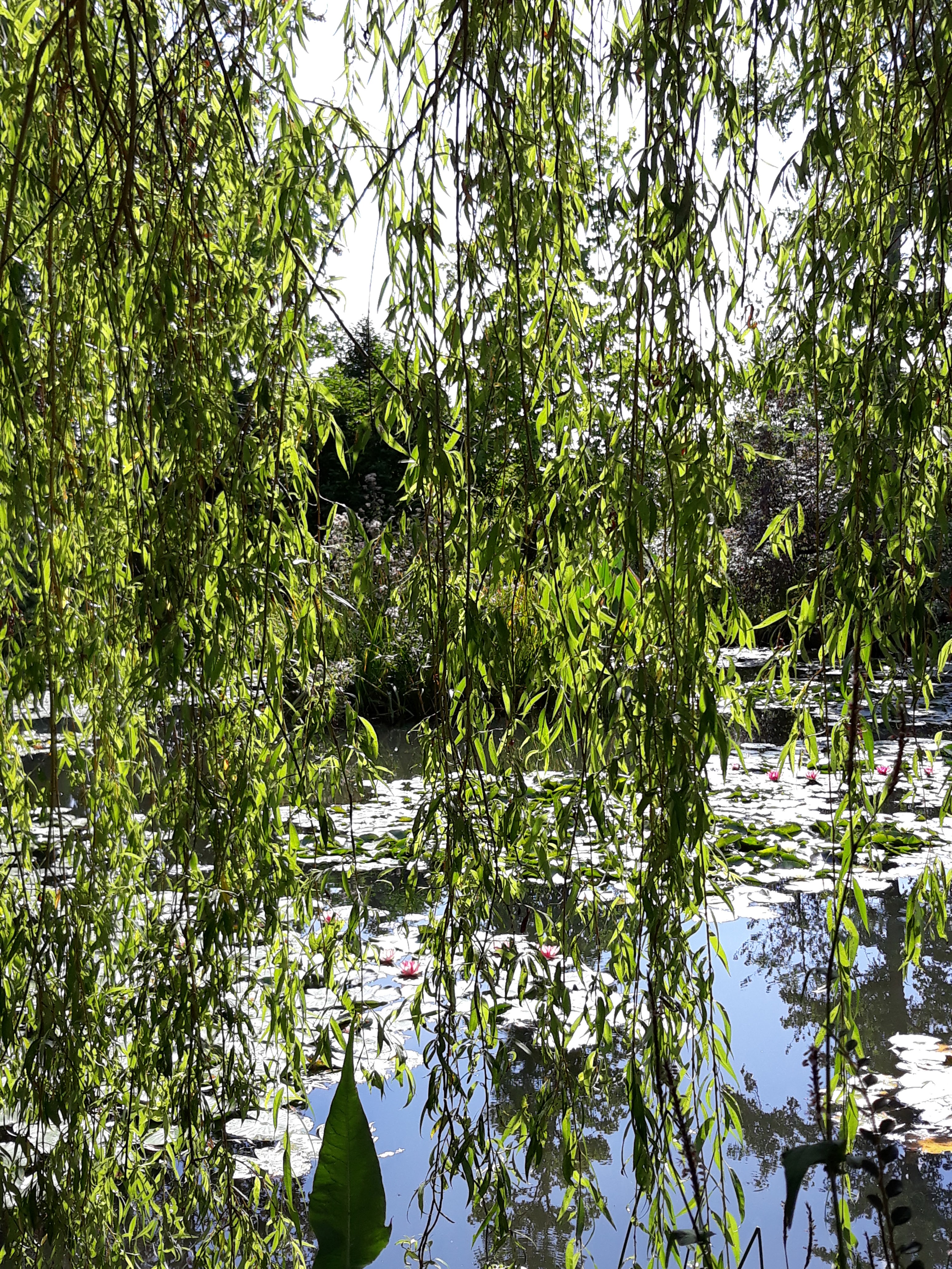 Photo n° 3 de l'avis de Zaj.h fait le 17/09/2018 à 16:50