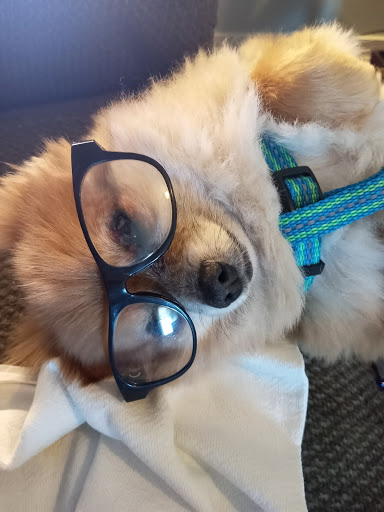 Westbrook Animal Hospital image