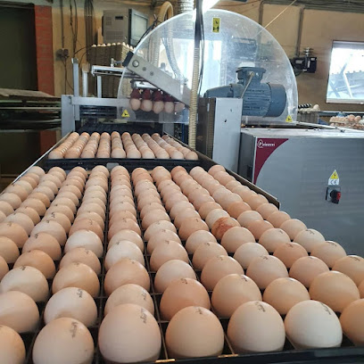 Sabelo Egg Farming
