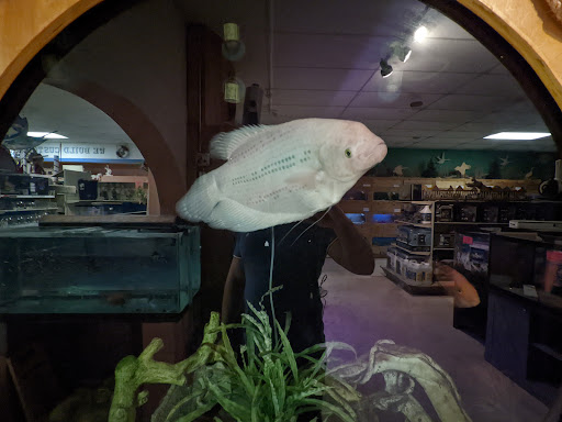 Pet Store «Forever Pets Inc», reviews and photos, 1030 Basse Rd, San Antonio, TX 78212, USA