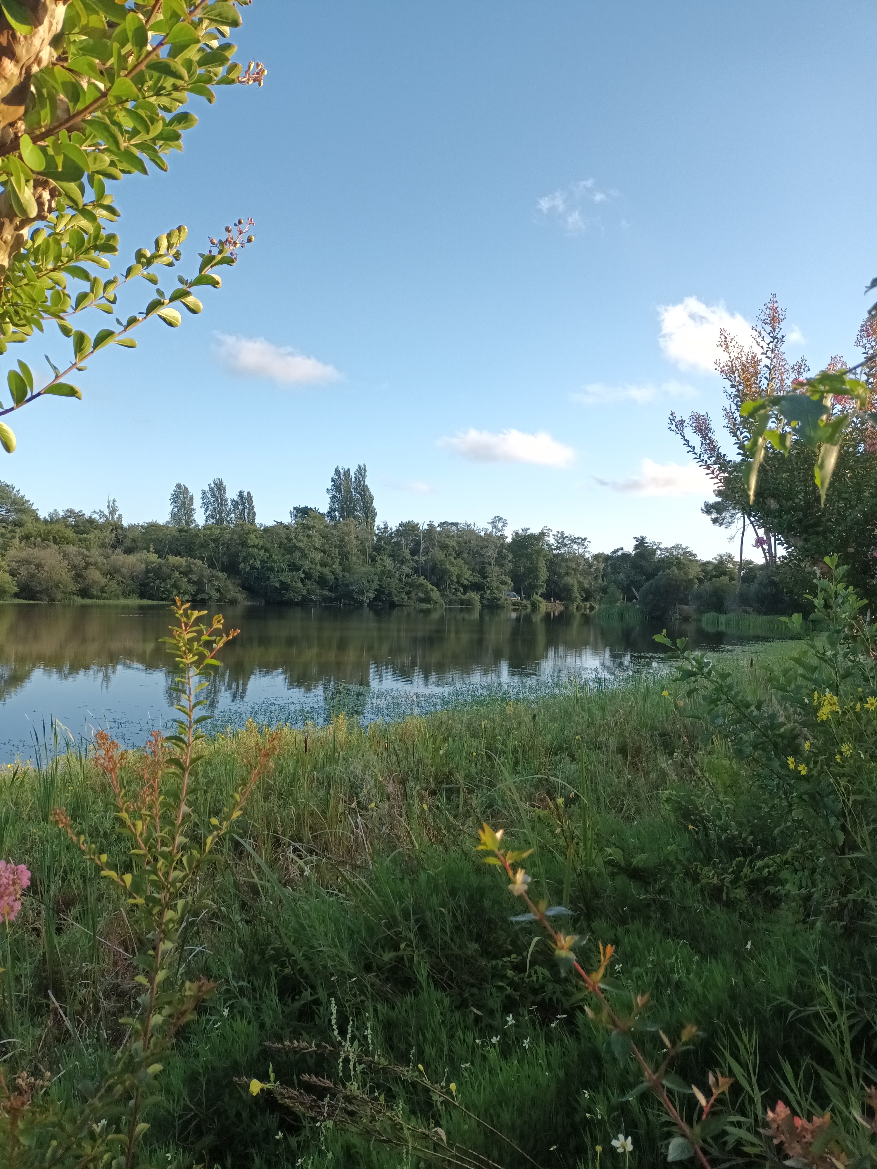 Photo n° 2 de l'avis de Jèrôme.R fait le 07/09/2023 à 21:29