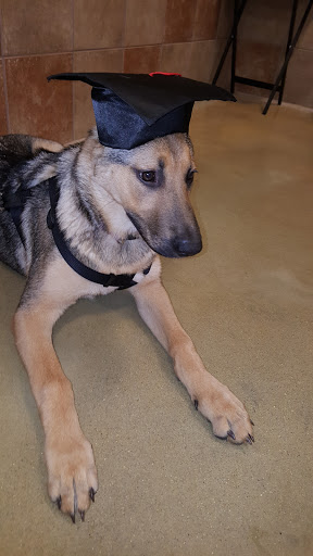 Pet Supply Store «PetSmart», reviews and photos, 26680 Centerview Dr, Millsboro, DE 19966, USA