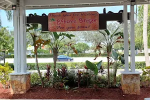 Bahama Breeze image