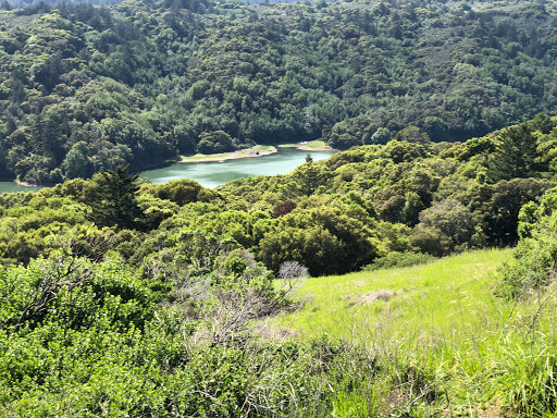 Golf Course «Crystal Springs Golf Course», reviews and photos, 6650 Golf Course Dr, Burlingame, CA 94010, USA