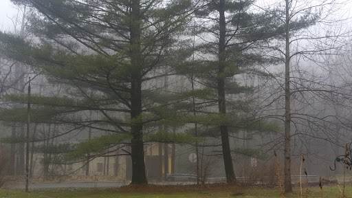 Tourist Attraction «Winsdor Mills Covered Bridge», reviews and photos, 7696 Warner Hollow Rd, Windsor, OH 44099, USA