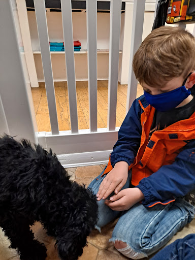 Pet Store «Puppy City», reviews and photos, 3343 Valley Pike, Winchester, VA 22602, USA