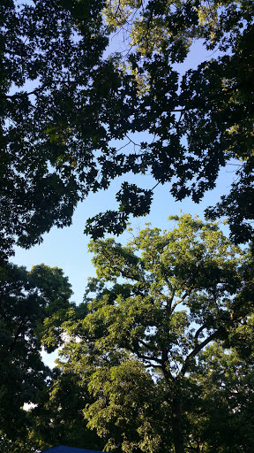 Park «Forest Park Carousel», reviews and photos, Forest Park Dr, Woodhaven, NY 11421, USA