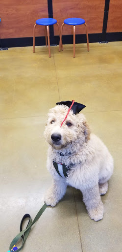 Pet Supply Store «PetSmart», reviews and photos, 320 W Town Square Way, Oak Creek, WI 53154, USA