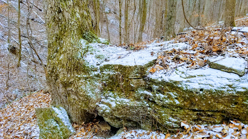 Nature Preserve «Engelmann Woods Natural Area», reviews and photos, 2360 Hwy D, Boles Township, MO 63304, USA