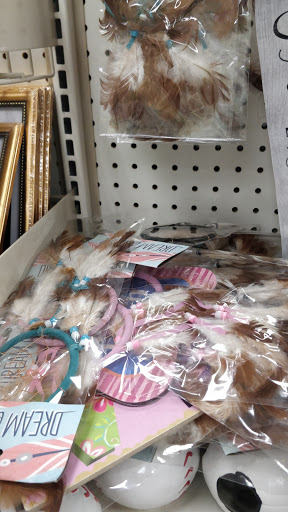 Dollar Store «Dollar Tree», reviews and photos, 2585 South Rd, Poughkeepsie, NY 12601, USA