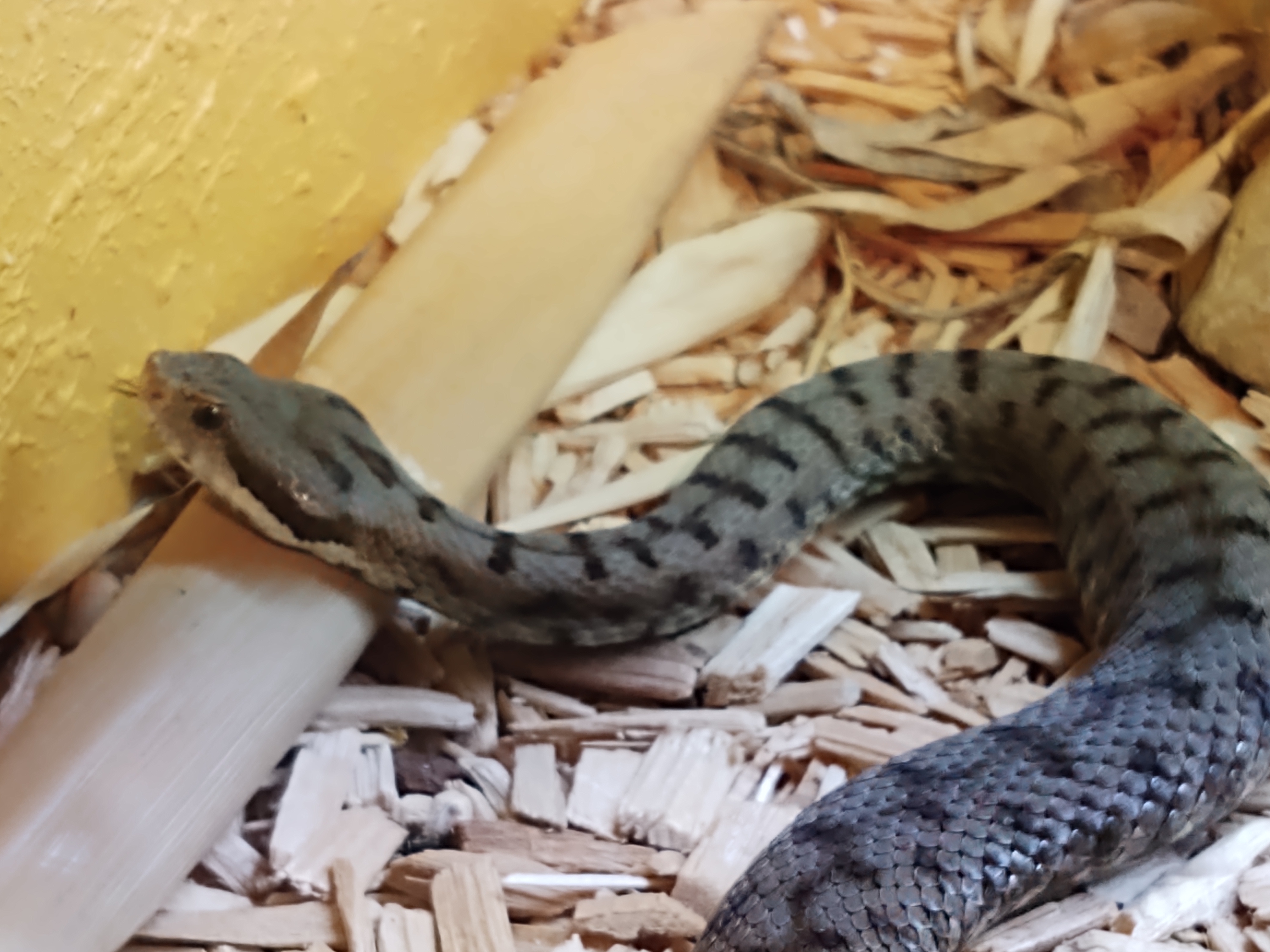 Photo n° 1 de l'avis de Erik.a fait le 07/08/2021 à 12:17