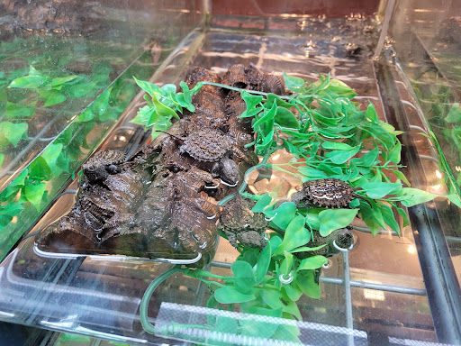 Pet Supply Store «Pet Bazaar», reviews and photos, 490 FL-436, Casselberry, FL 32707, USA