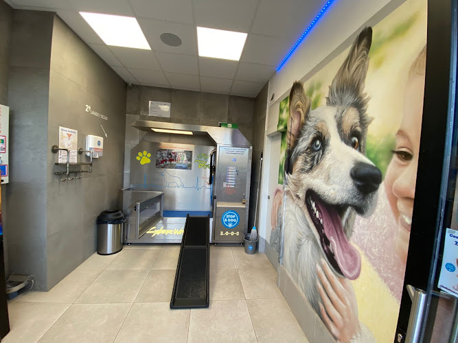 Stop & Dog (Burgos)