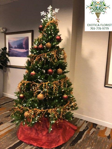 Florist «Exotica Florist», reviews and photos, 10376 Main Street, Fairfax, VA 22030, USA