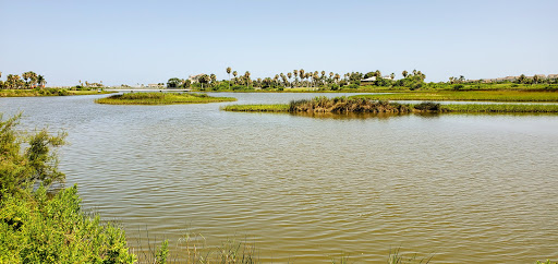 Public Golf Course «Moody Gardens Golf Course», reviews and photos, 1700 Sydnor Ln, Galveston, TX 77554, USA