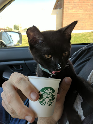 Coffee Shop «Starbucks», reviews and photos, 1242 Arsenal St, Watertown, NY 13601, USA