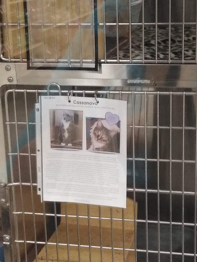 Pet Supply Store «PetSmart», reviews and photos, 1034 N El Camino Real, Encinitas, CA 92024, USA