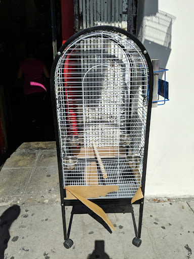 Pet Store «Inez Pet Shop», reviews and photos, 3825 Whittier Blvd, Los Angeles, CA 90023, USA
