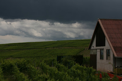 Vins Fins d'Alsace Henri Kieffer Fils à Blienschwiller
