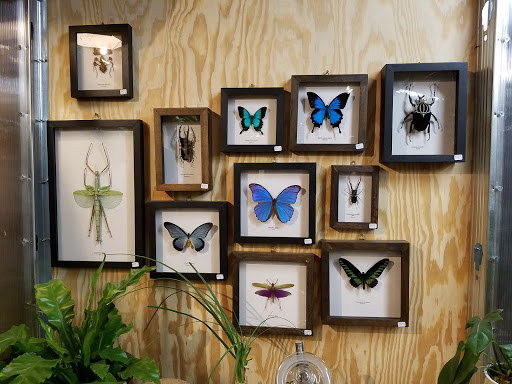 Movie Studio «Monorchid Creative Studios / Event / Wedding Venue», reviews and photos, 214 E Roosevelt St, Phoenix, AZ 85004, USA