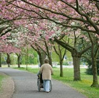 Granny Nannies | Senior Home Care - Photo 5 - Car repair in Boca Raton, FL, Pompano Beach