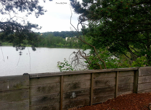 Park «Tukwila Pond Park», reviews and photos, 299 Strander Blvd, Tukwila, WA 98188, USA