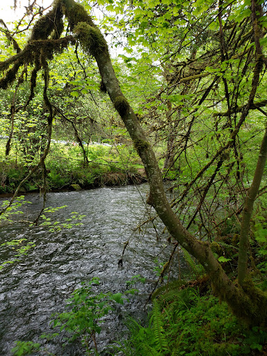 Store «Silver Falls Country Store», reviews and photos, 172 Silver Falls Dr SE, Silverton, OR 97381, USA
