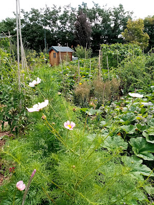 Jardin Partagé Saint Gratien à Saint-Gratien