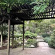 Japanese Garden