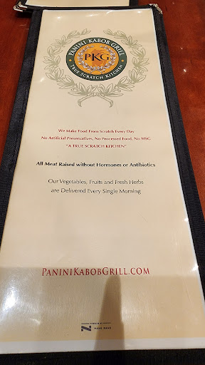 Panini Kabob Grill