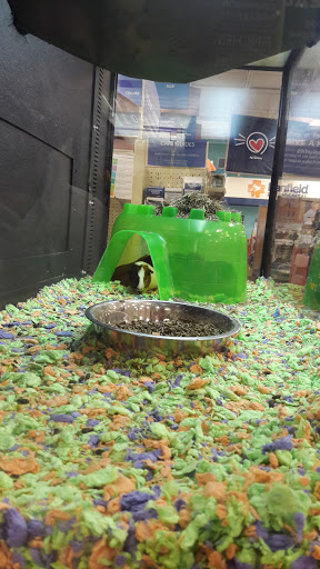 Pet Supply Store «PetSmart», reviews and photos, 2525 W Wheatland Rd, Dallas, TX 75237, USA