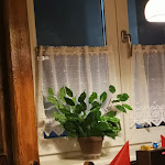 Photo n°4 de l'avis de Malgorzata.r fait le 27/10/2023 à 12:37 sur le  Berliner Kartoffelhaus à Berlin