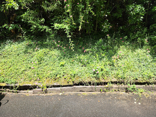 Golf Club «Linville Land Harbor Golf Club», reviews and photos, 1665 Goose Hollow Rd, Linville, NC 28646, USA