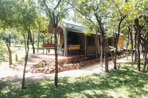 Warthogs Safari Camp Kariba image