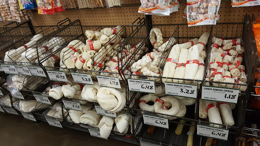 Pet Supply Store «Pet Supplies Plus», reviews and photos, 9500 Dorchester Rd #350, Summerville, SC 29485, USA