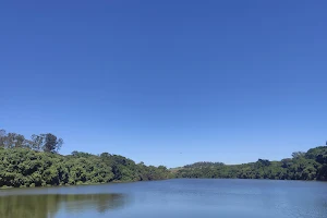 Lake of the University of São Paulo image