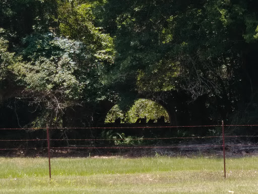 Museum «Laurel Valley Village Store», reviews and photos, 595 LA-308, Thibodaux, LA 70301, USA