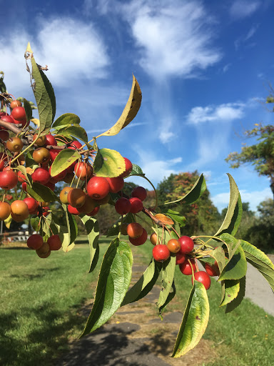 Park «Little Bay Park», reviews and photos, Cross Island Pkwy, Whitestone, NY 11357, USA