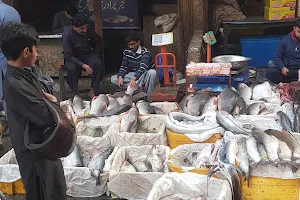 Fish market مچھلی منڈی image